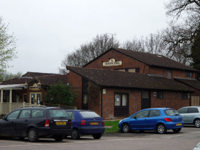 Barn Owl, Luton