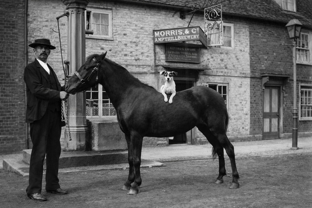 Three Horseshoes, Shefford