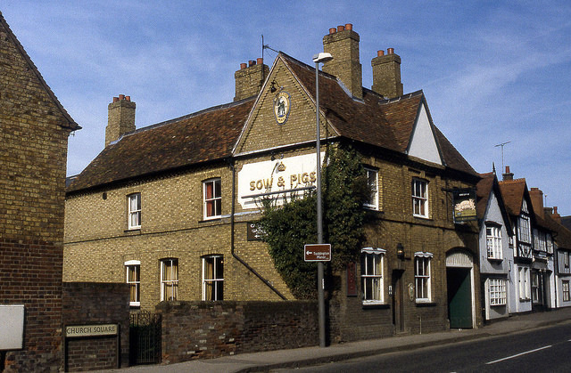 Sow & Pigs, Toddington