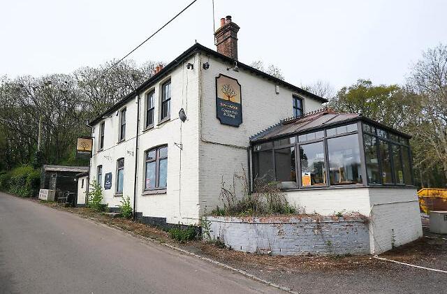 Sun In The Wood, Ashmore Green