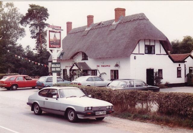 The Pineapple, Brimpton Common