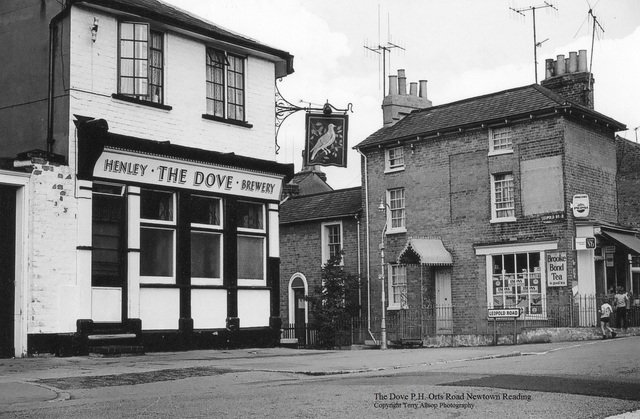 The Dove, Reading