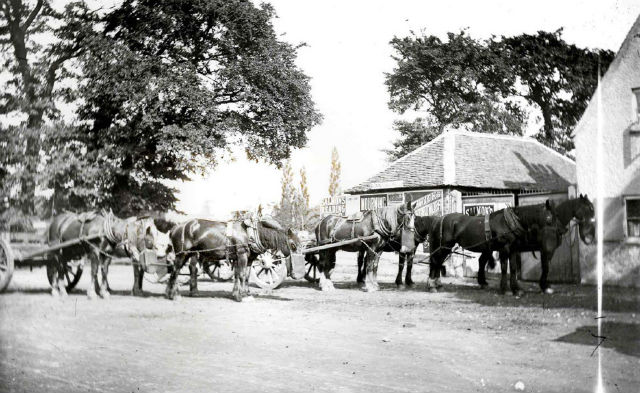 Four Horseshoes, Reading