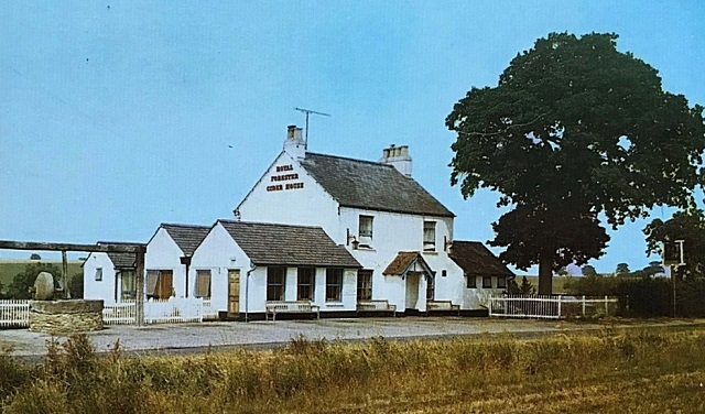 Royal Forester, Winkfield