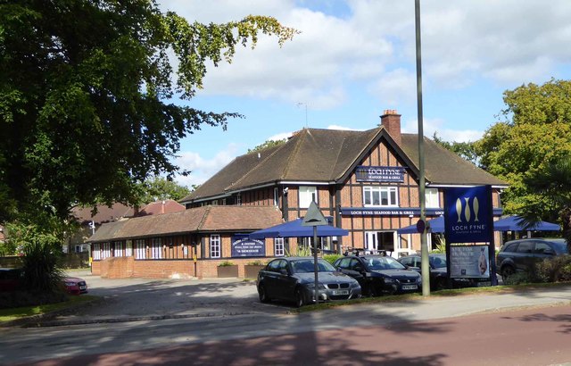 The Plough, Wokingham