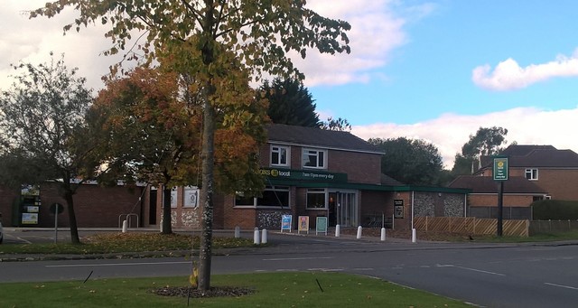 Downley Donkey, Downley