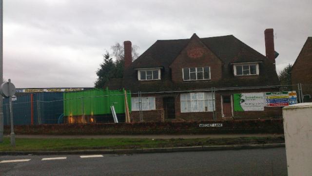 Beech Tree, Holmer Green