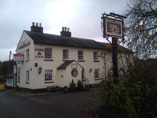 Pink & Lily, Lacey Green