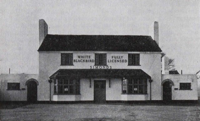 White Blackbird, Loudwater