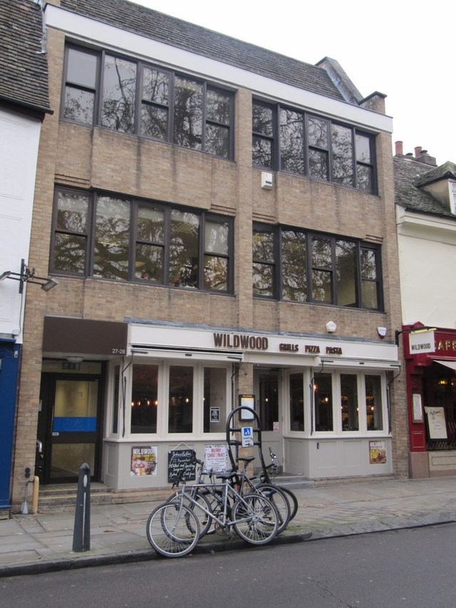 Spotted Leopard, Cambridge