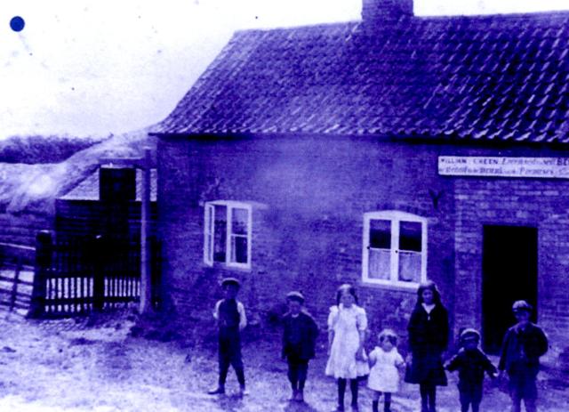 Plum Tree, Chatteris