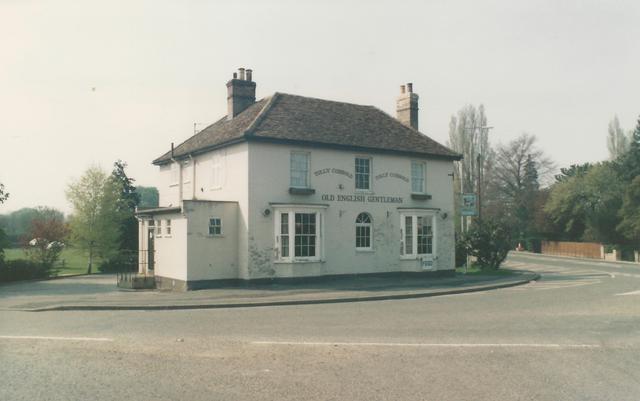 Old English Gentleman, Harston