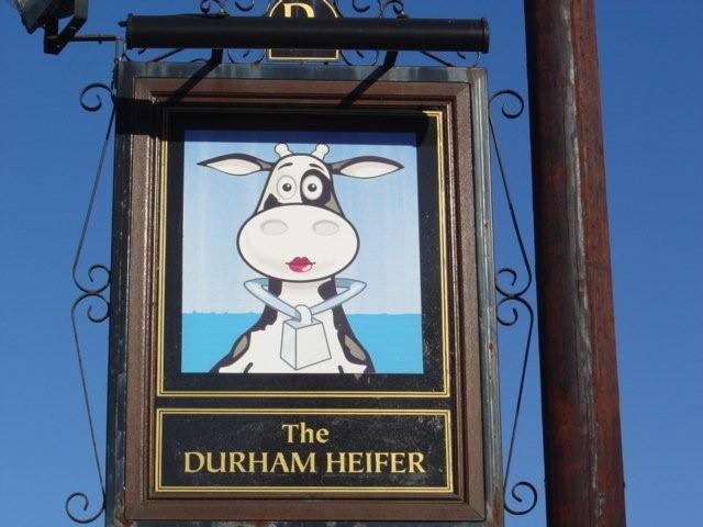 Durham Heifer, Broxton