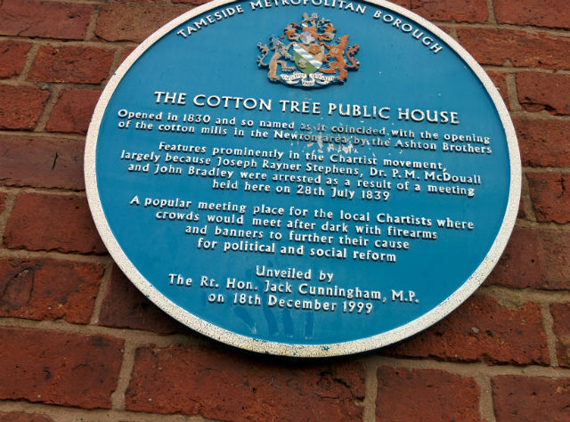 Cotton Tree, Hyde