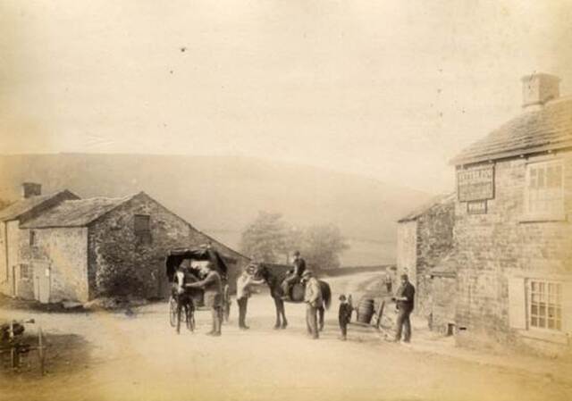 Setter Dog, Macclesfield
