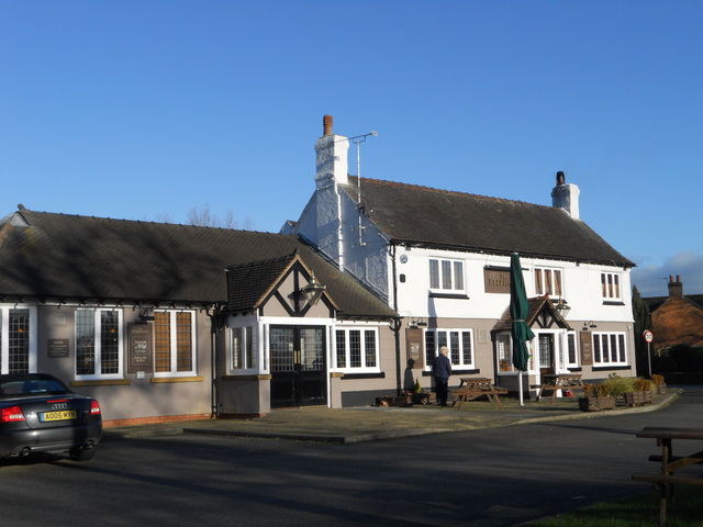 The Elephant, Shavington