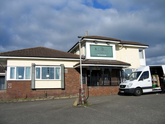 Border Terrier, Carlisle