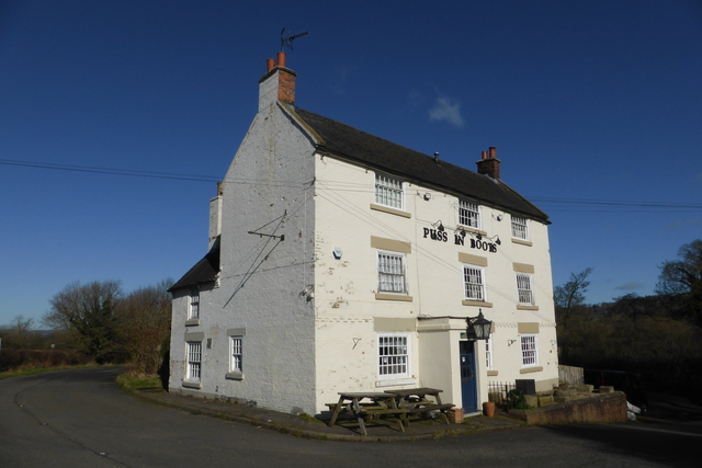 Puss In Boots, Hazelwood