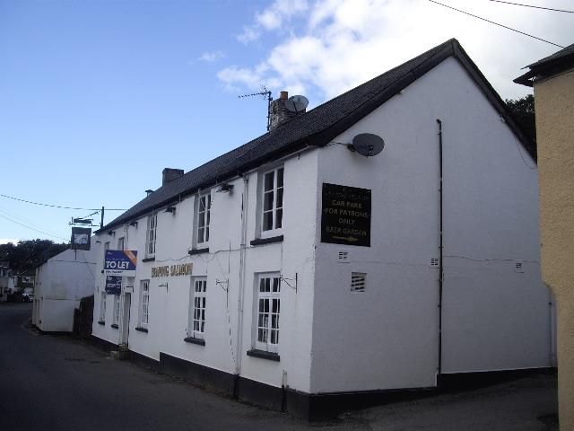 Leaping Salmon, Horrabridge