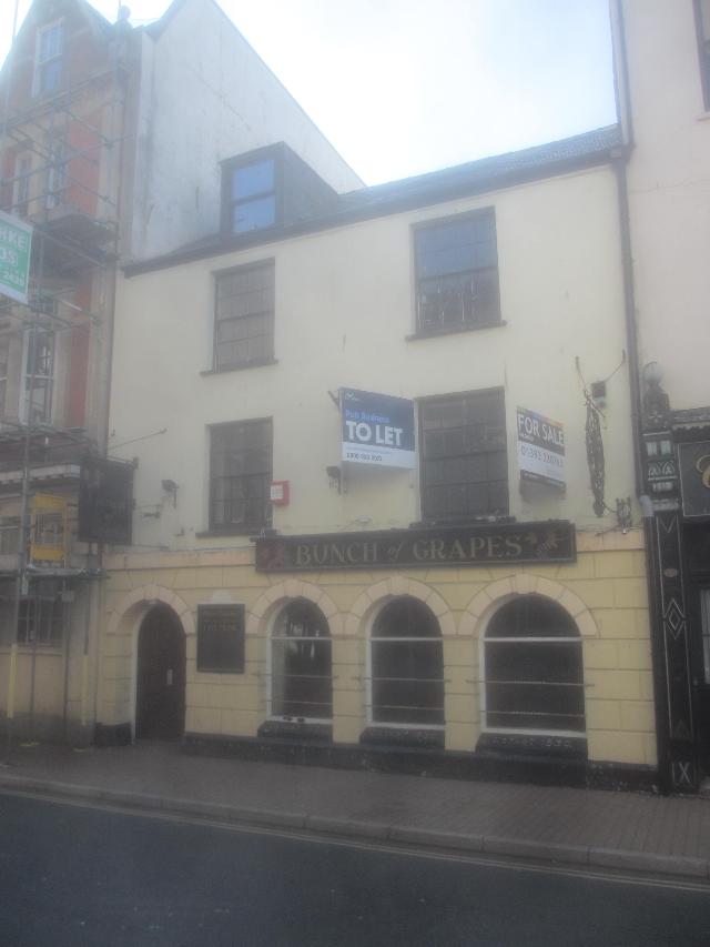 Bunch Of Grapes, Ilfracombe