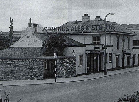 Camels Head, Plymouth