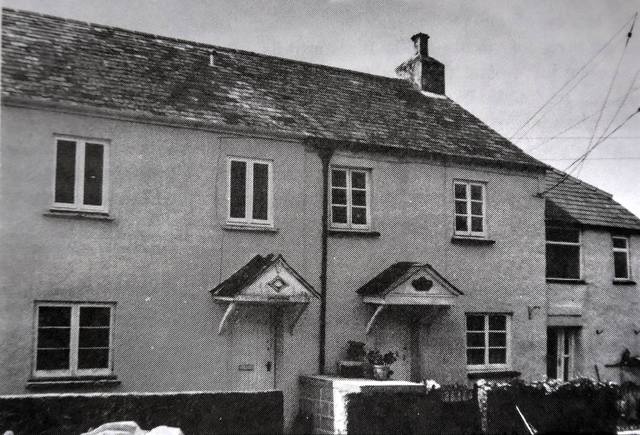 White Thorn, Shaugh Prior