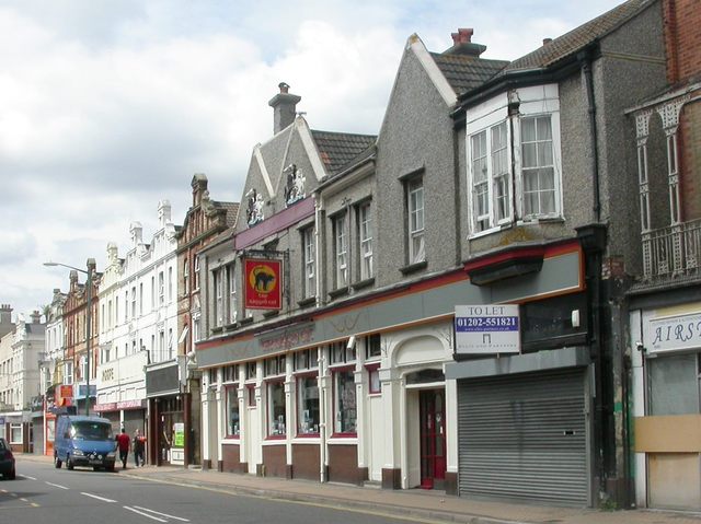 Ragged Cat, Bournemouth