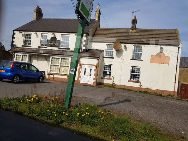 Green Tree, Howde-Le-Wear