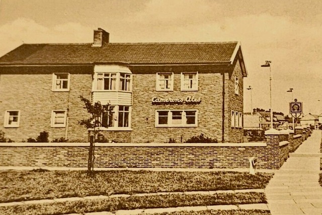 Oak Tree, Newton Aycliffe