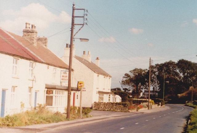 Blue Bells, Toft Hill