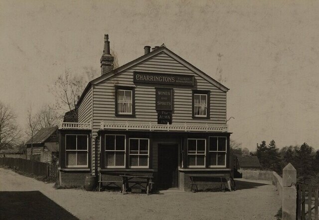 The Alma, Chelmsford