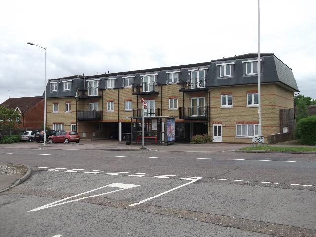 The Badger, Hainault