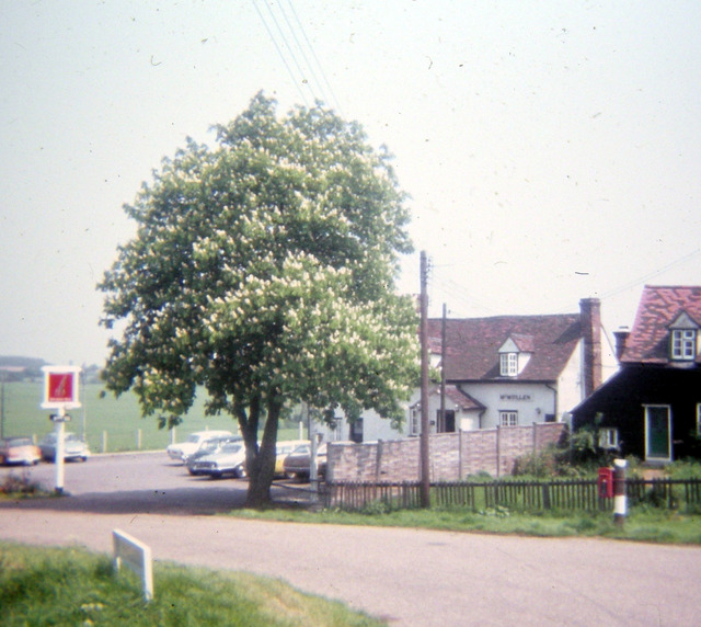 Mole Trap, Tawney Common