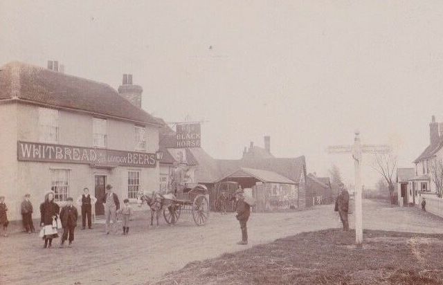 Black Horse, White Roding