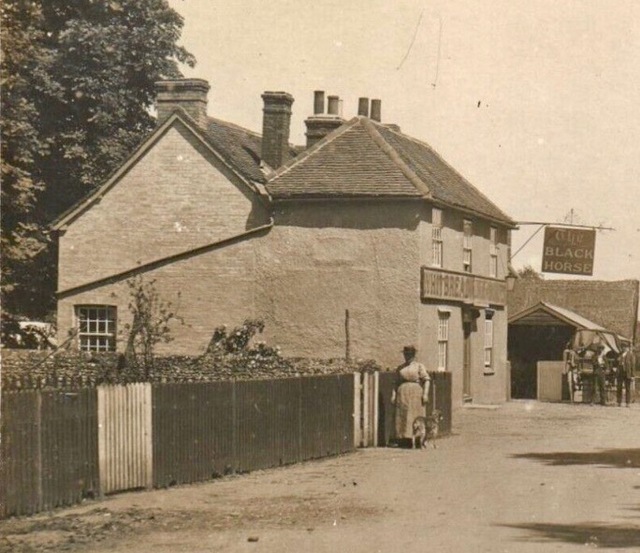 Black Horse, White Roding