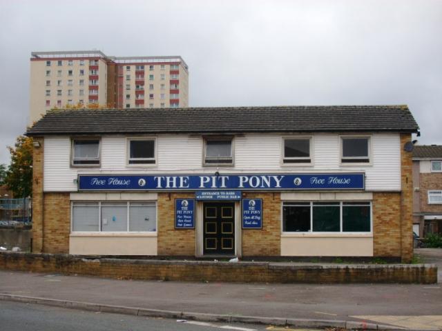Pit Pony, Bristol