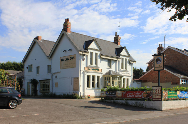 Little Owl, Cheltenham