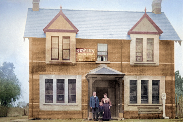 Little Owl, Cheltenham