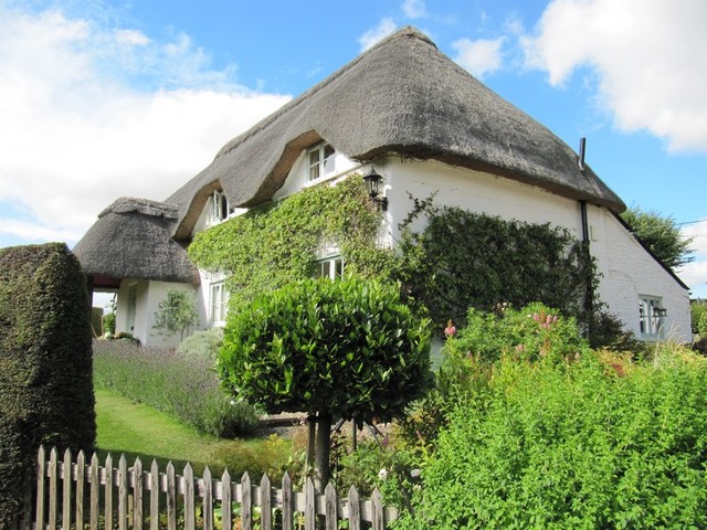 Fleur De Lys, Amport