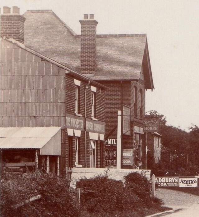 Black Horse, Colden Common