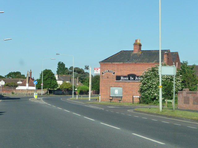 Rose In June, Hayling Island