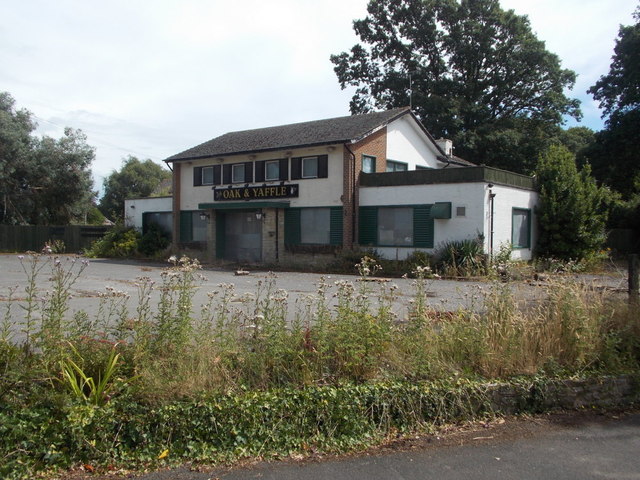 Oak Yaffle, New Milton