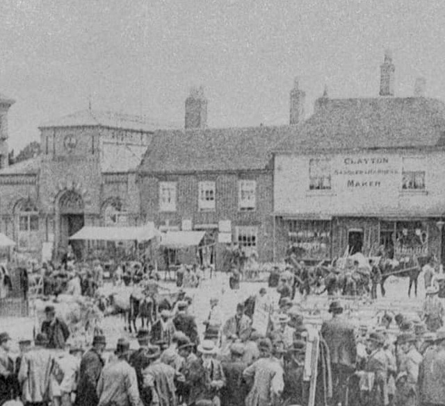 Golden Horse, Petersfield