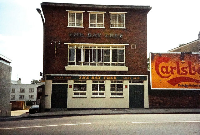 Bay Tree, Southampton
