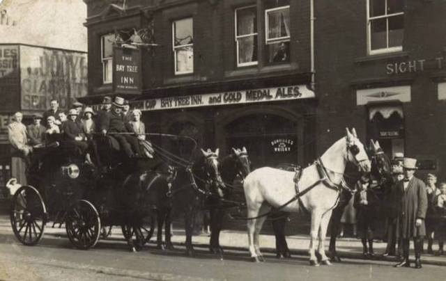 Bay Tree, Southampton