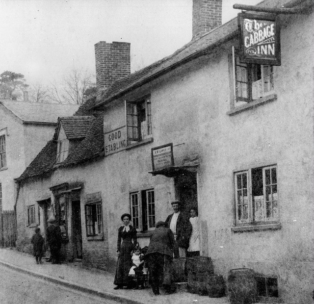 The Cabbage, Whitchurch