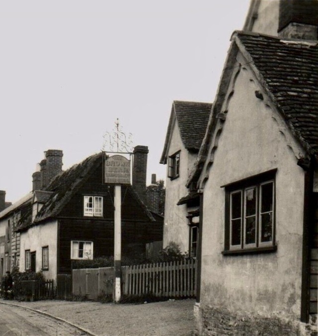 Brown Bear, Braughing