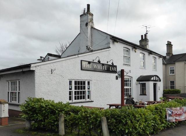 White Bear, Royston