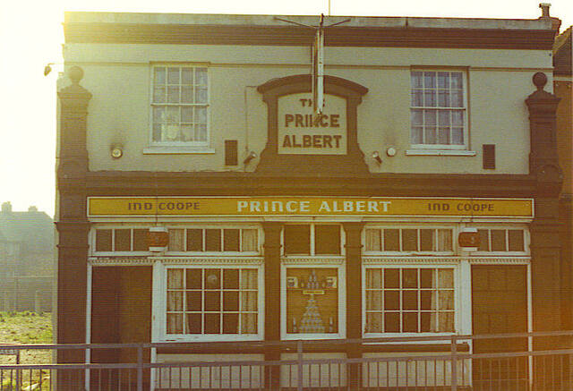 Prince Albert, Ashford