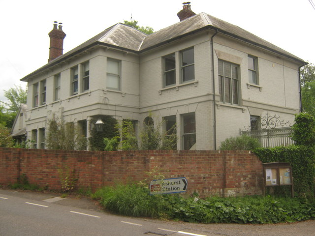 Bald Faced Stag, Ashurst